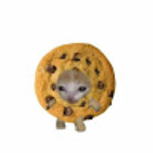 Meet your Posher, Yoona